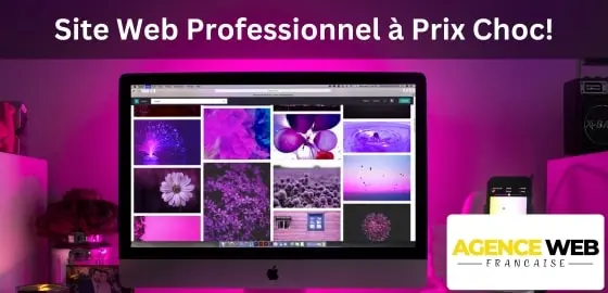 Site web professionnel à prix choc!